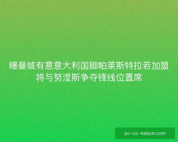 曝曼城有意意大利国脚帕莱斯特拉若加盟将与努涅斯争夺锋线位置席